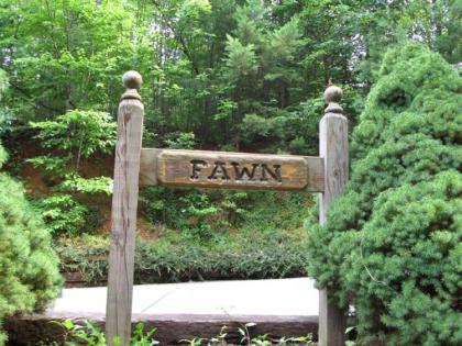 Fawn Cabin 1 Bedroom Sleeps 4 Hot Tub Private Pets Gas Fireplace - image 5