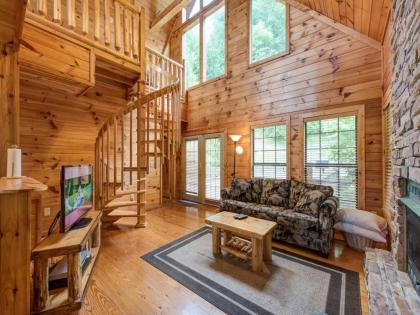 A Walk in the Clouds 1 Bedroom Sleeps 4 Pool Table Hot Tub Pets - image 10