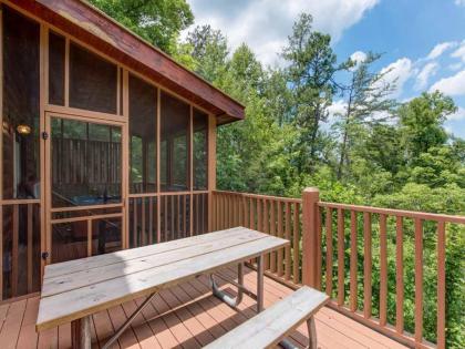 A Walk in the Clouds 1 Bedroom Sleeps 4 Pool Table Hot Tub Pets - image 20