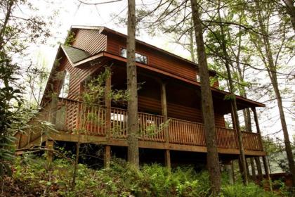 Chipmunk Chase 2 Bedrooms Sleeps 8 Hot Tub Pool Table Fireplace - image 17