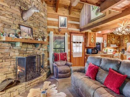 Fox Den 2 Bedrooms Sleeps 4 Whirlpool Tub Deck Yard Hot Tub - image 1