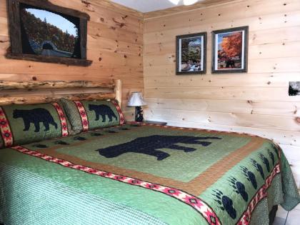 Downtown Gatlinburg Apartment - image 12