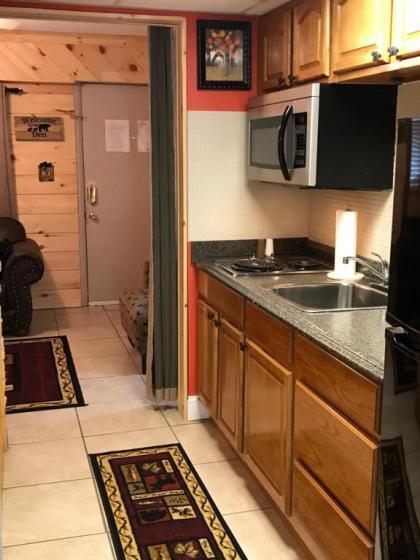 Downtown Gatlinburg Apartment - image 19