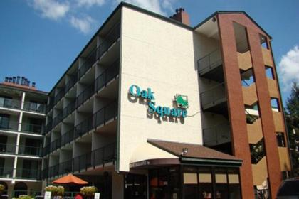 Downtown Gatlinburg Apartment - image 8