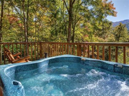 Rustic Charm 1 Bedroom 2 Bathroom Sleeps 4 Pets Welcome Hot Tub Priva - image 16