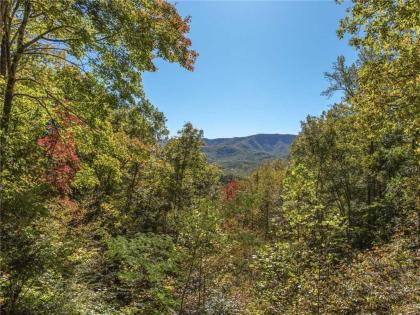 Rustic Charm 1 Bedroom 2 Bathroom Sleeps 4 Pets Welcome Hot Tub Priva - image 20