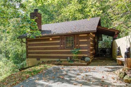 Rustic Charm 1 Bedroom 2 Bathroom Sleeps 4 Pets Welcome Hot Tub Priva - image 5