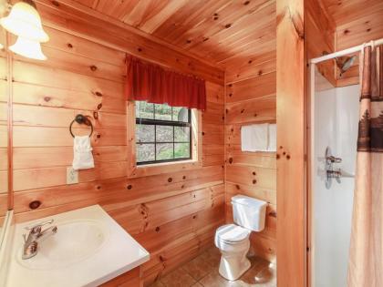 Away From it All 3 Bedrooms Sleeps 10 Jetted Showers WiFi Arcade - image 18