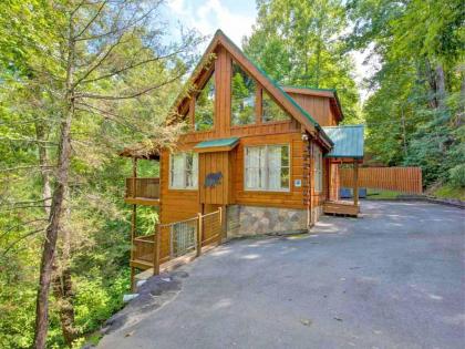 Cozy Bear Lodge 3 Bedrooms Sleeps 12 Near Downtown Private Hot Tub - image 14