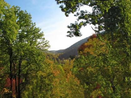 Cozy Bear Lodge 3 Bedrooms Sleeps 12 Near Downtown Private Hot Tub - image 19
