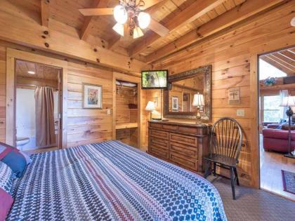 Cozy Bear Lodge 3 Bedrooms Sleeps 12 Near Downtown Private Hot Tub - image 9