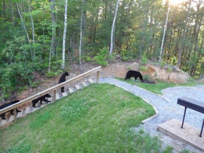 Bear's Eye View 4 Bedrooms Sleeps 14 Home Theater Gaming Hot Tub - image 7