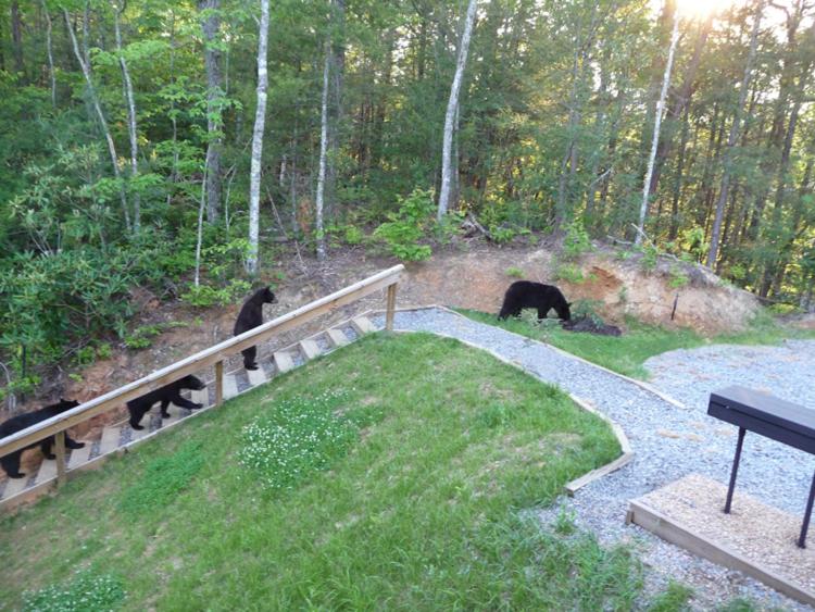 Bear's Eye View 4 Bedrooms Sleeps 14 Home Theater Gaming Hot Tub - image 7