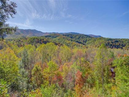 Naughty by Nature 1 Bedroom Sleeps 2 Hot Tub Mountain Views WiFi - image 18
