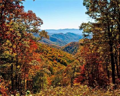 Naughty by Nature 1 Bedroom Sleeps 2 Hot Tub Mountain Views WiFi - image 5