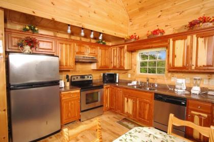Hillbilly Hilton #525 by Aunt Bug's Cabin Rentals - image 18
