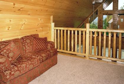 Hillbilly Hilton #525 by Aunt Bug's Cabin Rentals - image 8