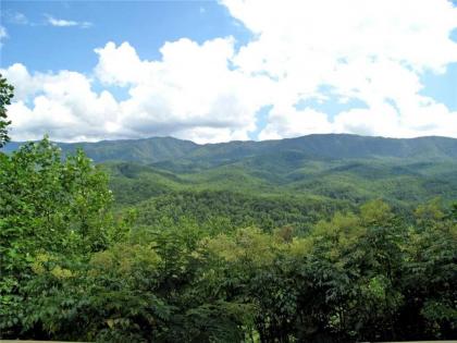 Woodshed 2 Bedrooms Sleeps 5 Mountain View Jetted Tub Pool Access - image 19