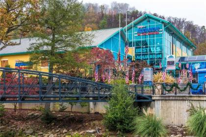 Smoky Mountain Dreams 3 Bedrooms Pool Access Hot Tub WiFi Sleeps 7 - image 2