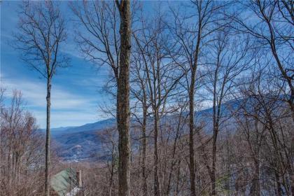 God's View 2 Bedrooms Pet Friendly Mountain View Hot Tub Sleeps 4 - image 16