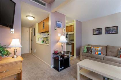 Tennessee Sunshine 1 Bedroom Fireplace WiFi Pool Access Sleeps 6 - image 12