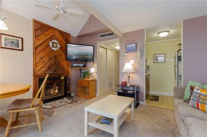 Tennessee Sunshine 1 Bedroom Fireplace WiFi Pool Access Sleeps 6 - image 8