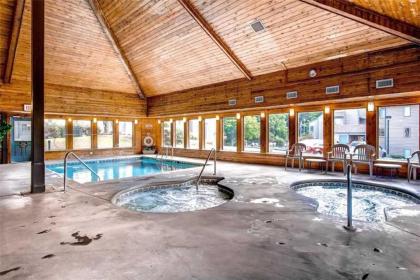 A Tennessee Joy 1 Bedroom Indoor Pool WiFi Fireplace Sleeps 2 - image 2