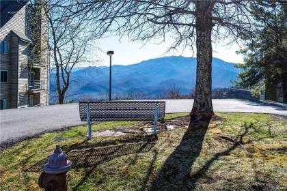 A Tennessee Joy 1 Bedroom Indoor Pool WiFi Fireplace Sleeps 2 - image 6