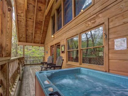 Above Ole Smokys Clouds 1 Bedroom Hot tub WiFI Pets Sleeps 4