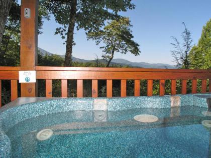 Cub’s Cove 1 Bedroom Near Downtown View Jetted Tub WiFi Sleeps 4 - image 16