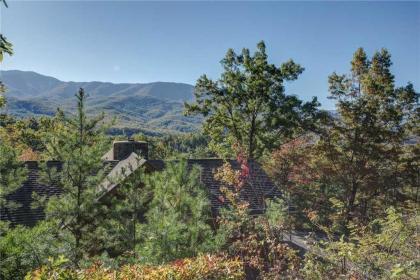 High Cotton 3 Bedroom Hot Tub Mountain View Sleeps 6 Pet Friendly - image 4