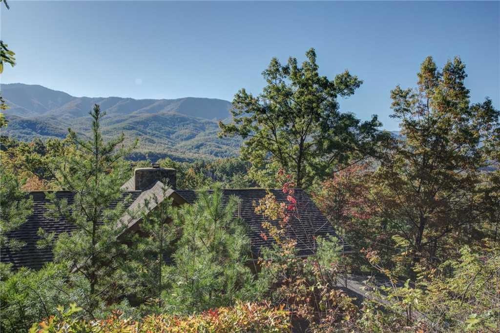 High Cotton 3 Bedroom Hot Tub Mountain View Sleeps 6 Pet Friendly - image 4
