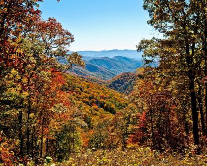 Mountain Hideaway 1 Bedroom Sleeps 2 Wood Fireplace WiFi Pool Table - image 13