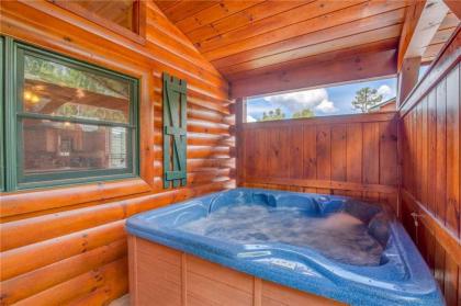 Magic Moments II 1 Bedroom Sleeps 4 Heart Shape Tub Pool Table Hot Tub - image 16