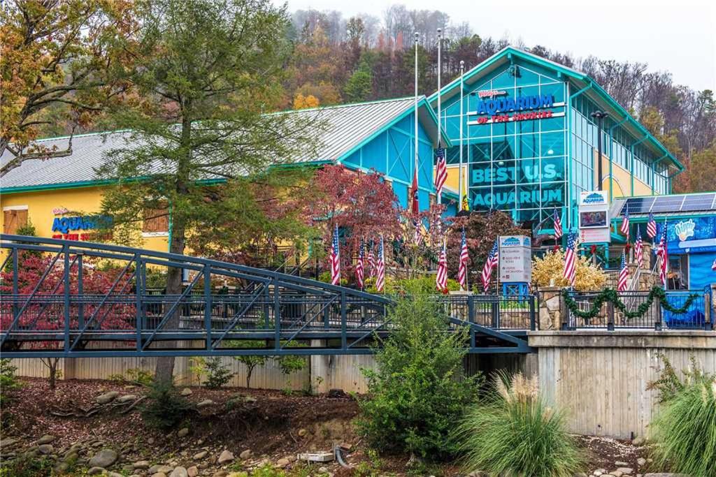 Bear View Chalet 3 Bedroom Pool Pets Arcades WiFi Hot Tub Sleeps 12 - image 6