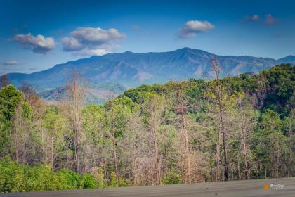 Majestic View Lodge - image 16