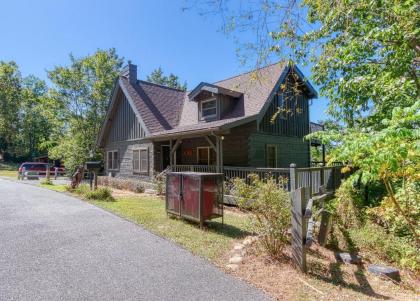 Bear View - image 7