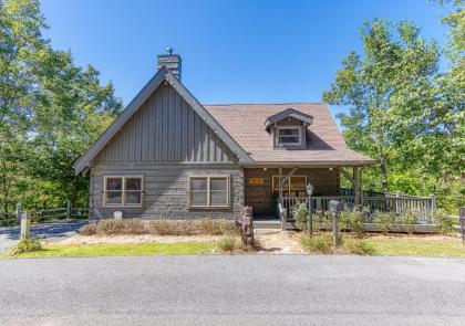 Bear View - image 8