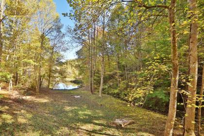 Enchanted Forest - image 14