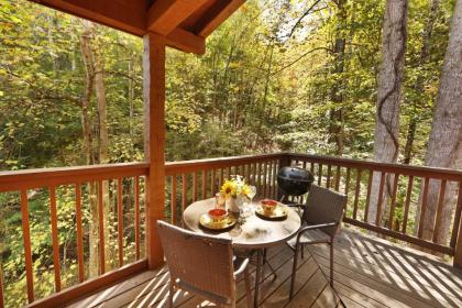 Enchanted Forest - image 17