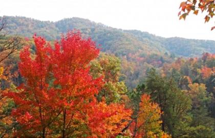 treetops Gatlinburg Tennessee