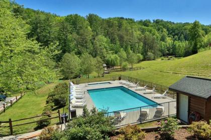 Treetops - image 11
