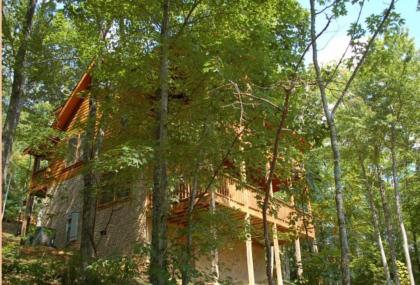 Treetops - image 14