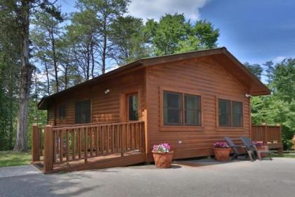 Treetops - image 16