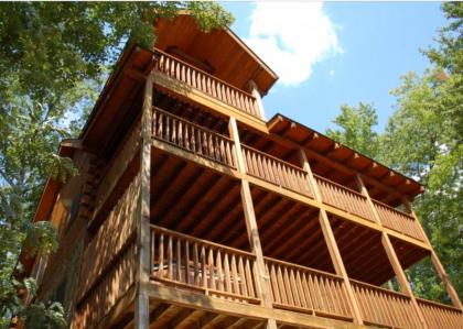 Treetops - image 18