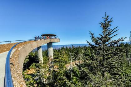 Majestic Overlook - image 9