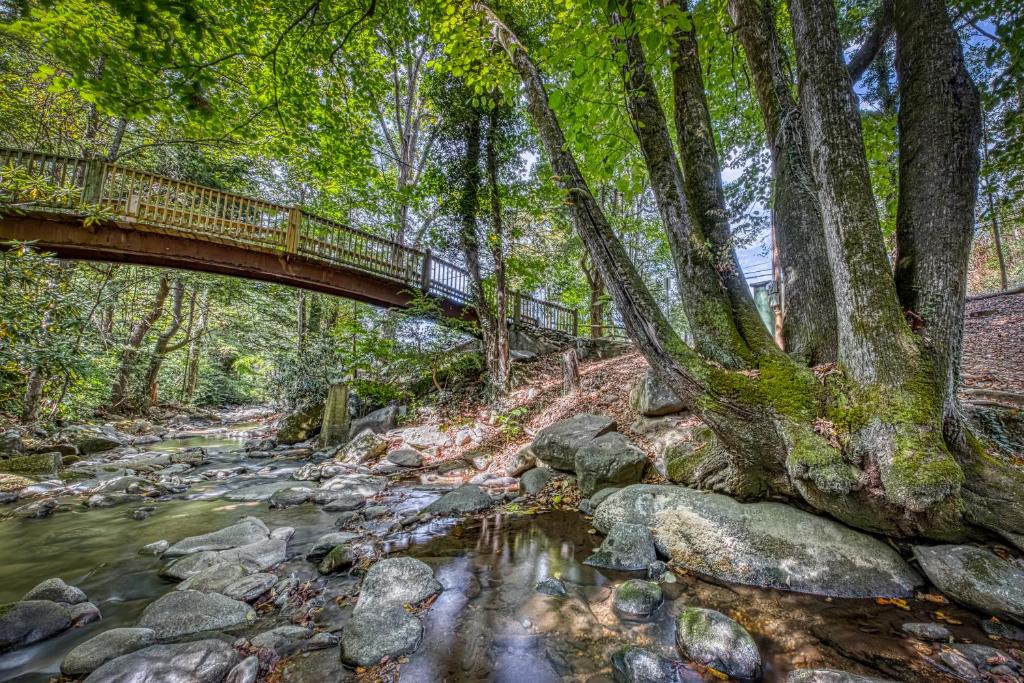 The Majestic Pine Retreat - image 3