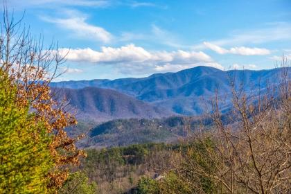 Baskins Creek Condos II - image 18