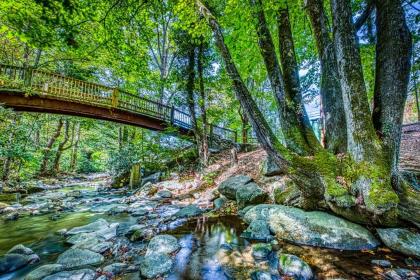 Baskin's Creek Condos III - image 8