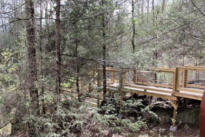Mountain Joy cabin - image 17